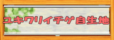 ���L�����C�`�Q�����n